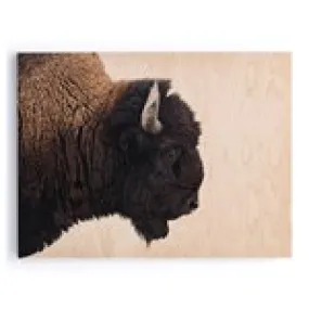 American Bison Art