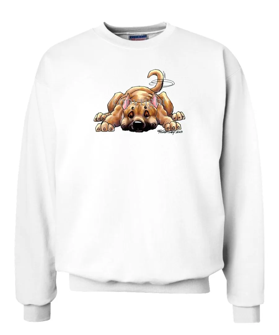 American Staffordshire Terrier - Rug Dog - Sweatshirt